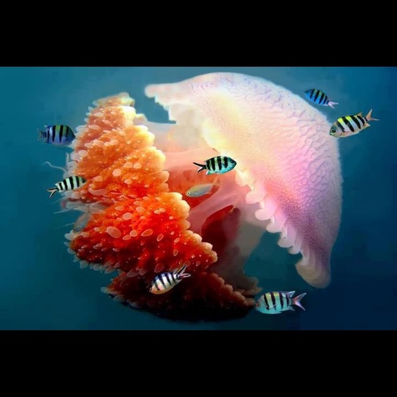 🌎same day or next day shipping - Picture 9 of 16